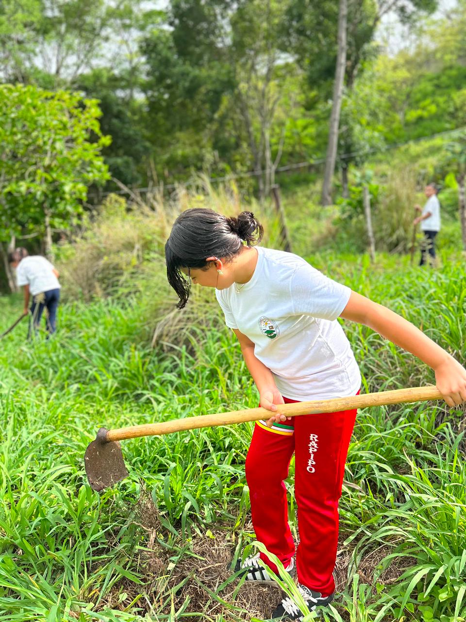 Proyecto Agropecuaria 2