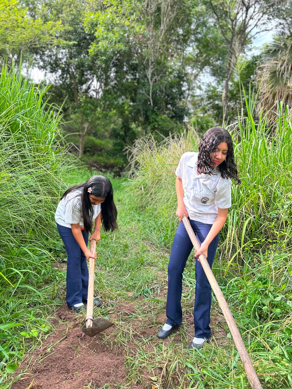 Proyecto Agropecuaria 3