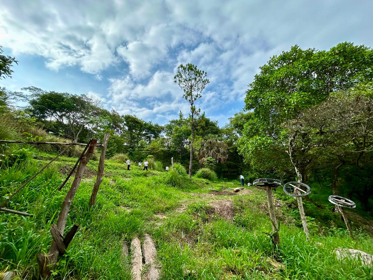 Proyecto Agropecuaria 6