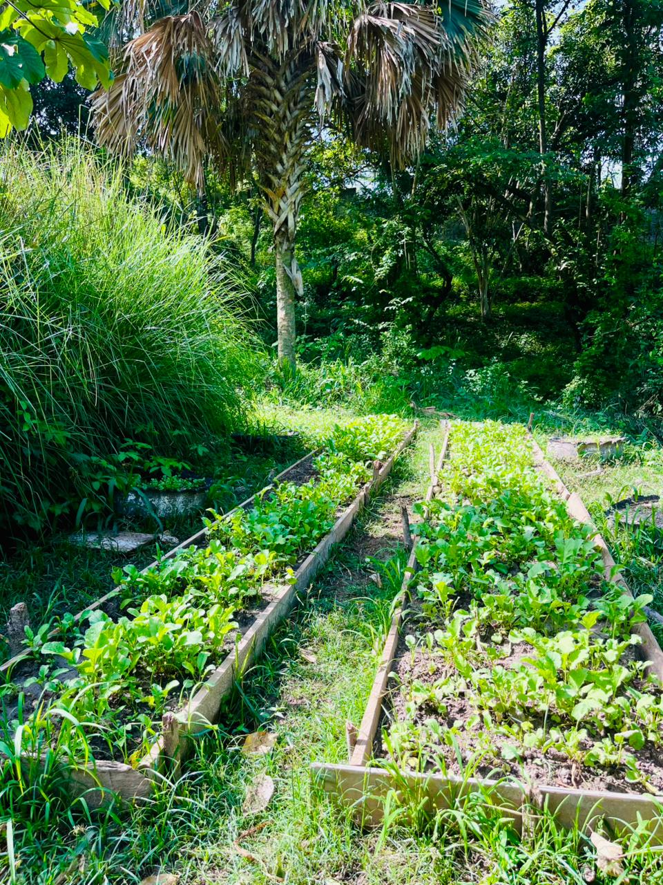 Proyecto Agropecuaria 9