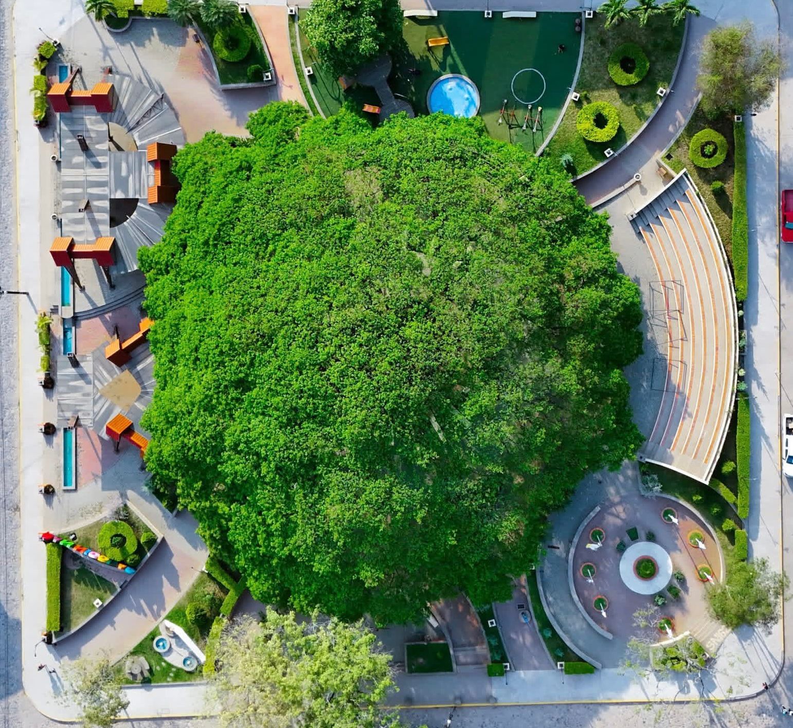 Día del Árbol Honduras