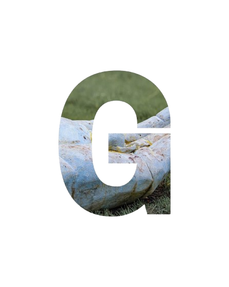G