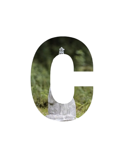 Guancasc