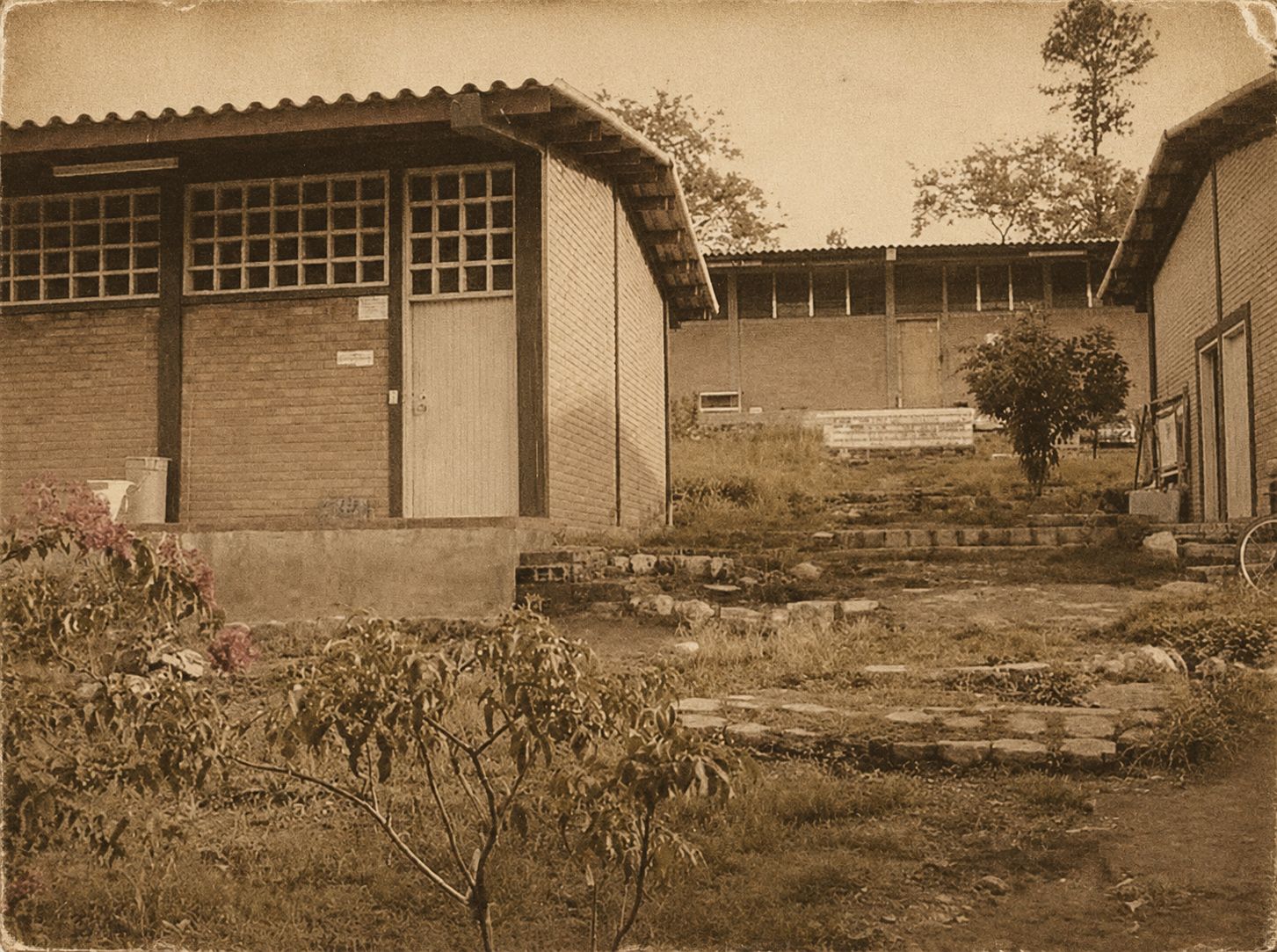 Evolución Institucional